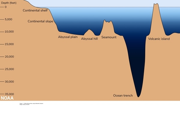 Figure 1. Profile of the sea floor
Major bathymetric features
Image courtesy of NOAA.