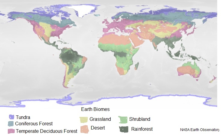 World Biomes: Tundra, Coniferous Forest, Temperate Deciduous Forest, Grassland, Desert, Shrubland, Rainforest. Map from NASA Earth Observatory.